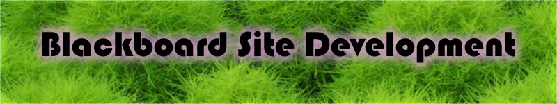 Blackboard Site Development